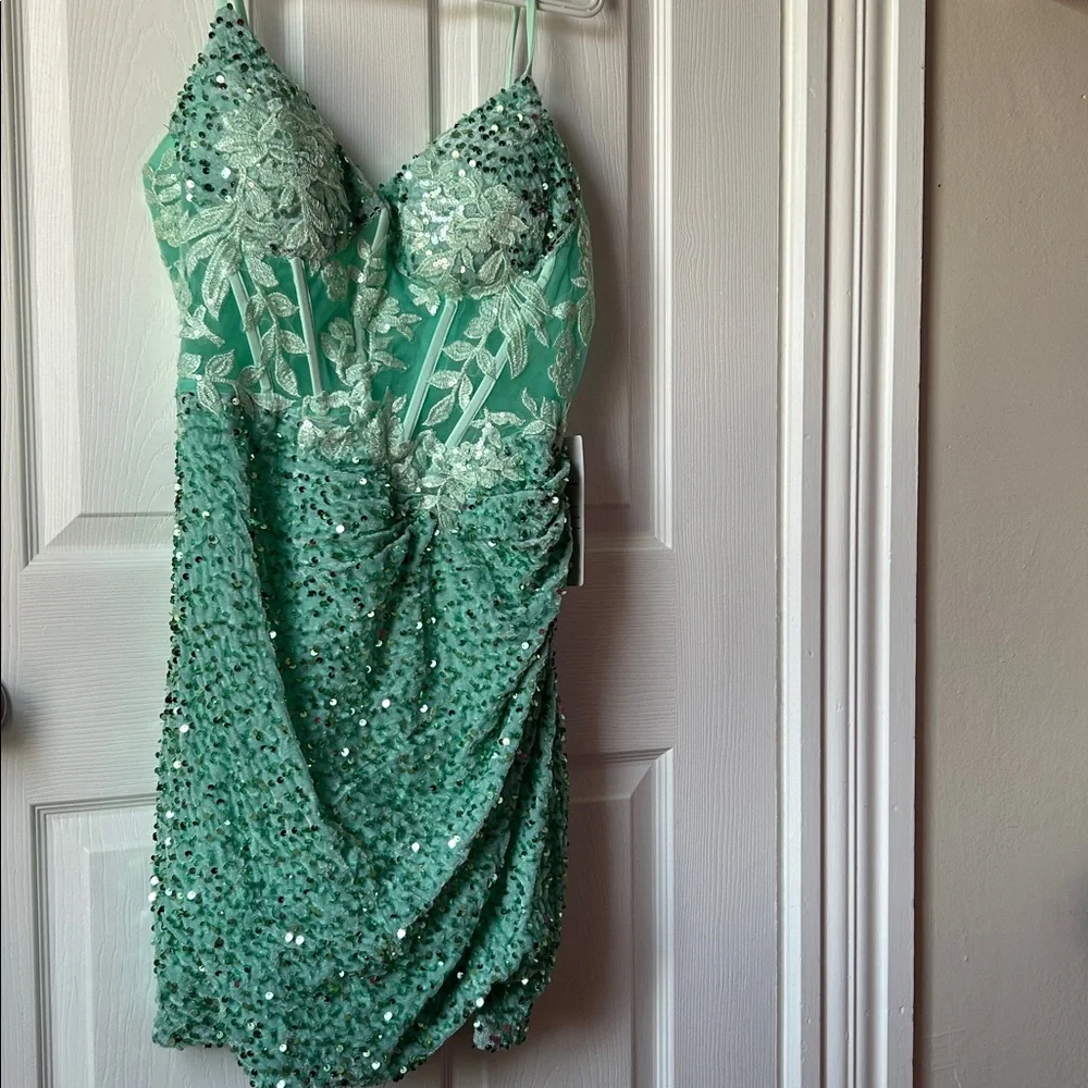 Stunning embroidered sequin stunner mini dress - Picture 1 of 9